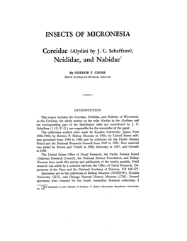 INSECTS of MICRONESIA Neididae, and Nabidae1