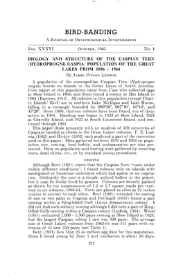 Biology and Structure of the Caspian Tern (Hydroprogne