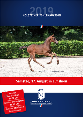 Samstag, 17. August in Elmshorn