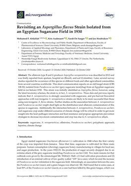 Revisiting an Aspergillus Flavus Strain Isolated from an Egyptian