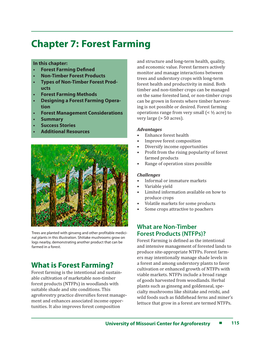 Forest Farming