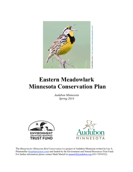 Eastern Meadowlark Minnesota Conservation Plan