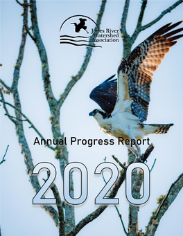 2020 Annual Progress Report