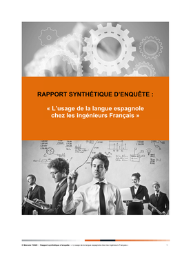 Rapport Synthétique D'enquête