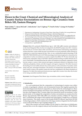 Chemical and Mineralogical Analysis of Ceramic Surface Encrustations on Bronze Age Ceramics from Békés 103, Eastern Hungary