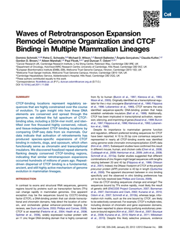 Waves of Retrotransposon Expansion Remodel Genome Organization and CTCF Binding in Multiple Mammalian Lineages