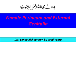 Female Perineum and External Genitalia