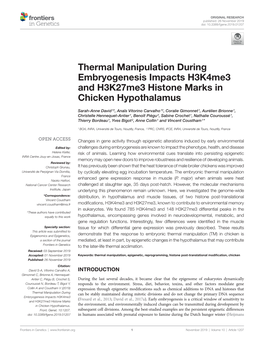 Thermal Manipulation During Embryogenesis Impacts H3k4me3 and H3k27me3 Histone Marks in Chicken Hypothalamus