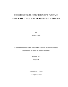 Dissecting Bcr-Abl Variant Signaling Pathways Using