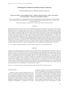 Embriogénesis Somática En Madroño (Arbutus Xalapensis) Somatic