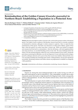 Reintroduction of the Golden Conure (Guaruba Guarouba) in Northern Brazil: Establishing a Population in a Protected Area