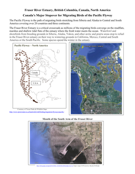 Fraser River Estuary, British Columbia, Canada, North America Canada's