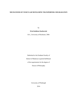 Mechanisms of Vesicular Monoamine Transporter-2 Degradation