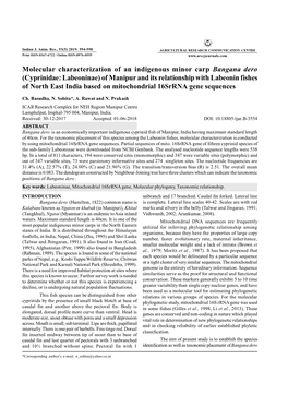 Molecular Characterization of an Indigenous Minor Carp Bangana Dero