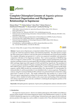 Complete Chloroplast Genome of Argania Spinosa: Structural Organization and Phylogenetic Relationships in Sapotaceae