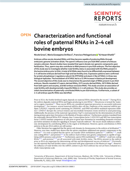 Characterization and Functional Roles of Paternal Rnas in 2–4 Cell Bovine