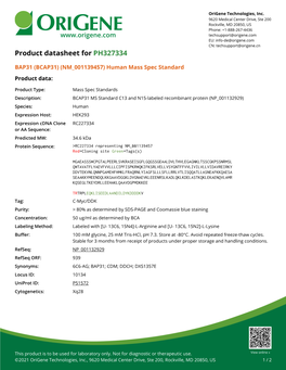 BAP31 (BCAP31) (NM 001139457) Human Mass Spec Standard Product Data