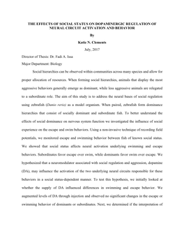 THE EFFECTS of SOCIAL STATUS on DOPAMINERGIC REGULATION of NEURAL CIRCUIT ACTIVATION and BEHAVIOR by Katie N. Clements July, 2017 Director of Thesis: Dr