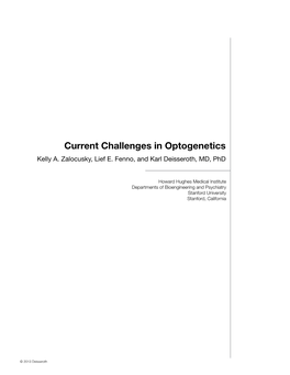 Current Challenges in Optogenetics Kelly A