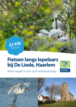 Fietsen Langs Lepelaars Bij De Liede, Haarlem Witte Vogels in Een Oud Veenlandschap Fietsen Langs Lepelaars Witte Vogels in Een Oud Veenlandschap