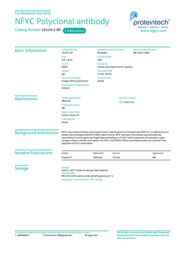 NFYC Polyclonal Antibody