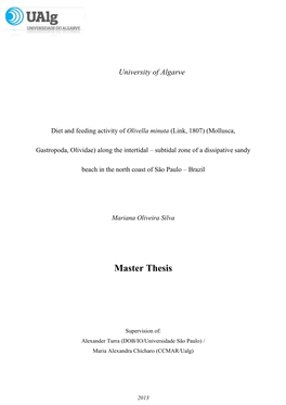 Master Thesis