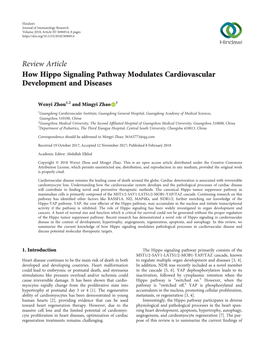 How Hippo Signaling Pathway Modulates Cardiovascular Development and Diseases