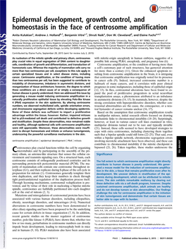 Epidermal Development, Growth Control, and Homeostasis in the Face of Centrosome Amplification