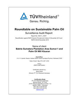 Draft Audit Summary RSPO Survillance I PT BSP OK