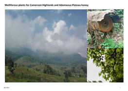 Melliferous Plants for Cameroon Highlands and Adamaoua Plateau Honey