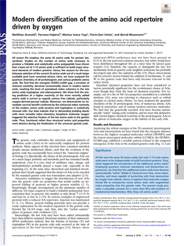 Modern Diversification of the Amino Acid Repertoire Driven by Oxygen