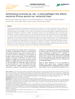 Xanthomonas Prunicola Sp. Nov., a Novel Pathogen That Affects Nectarine (Prunus Persica Var