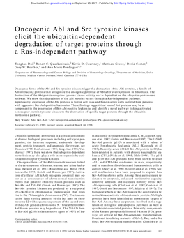 Oncogenic Abl and Src Tyrosine Kinases Elicit the Ubiquitin-Dependent Degradation of Target Proteins Through a Ras-Independent Pathway