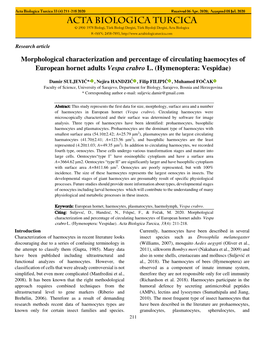 Morphological Characterization and Percentage of Circulating Haemocytes of European Hornet Adults Vespa Crabro L. (Hymenoptera: Vespidae)