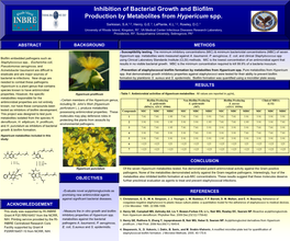 Inhibition of Bacterial Growth and Biofilm Production by Metabolites from Hypericum Spp