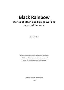 Black Rainbow Stories of Māori and Pākehā Working Across Difference