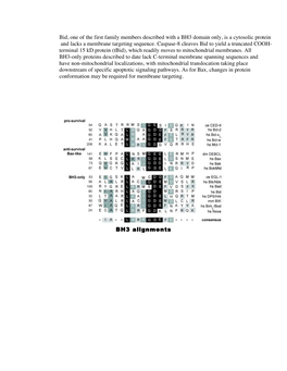 Bid, One of the First Family Members Described with a BH3 Domain Only, Is a Cytosolic Protein and Lacks a Membrane Targeting Sequence