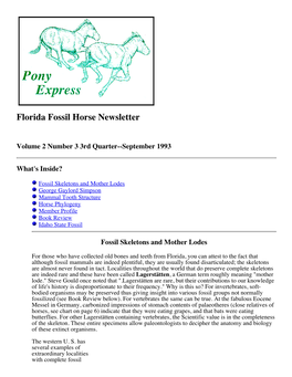 George Gaylord Simpson Mammal Tooth Structure Horse Phylogeny Member Profile Book Review Idaho State Fossil