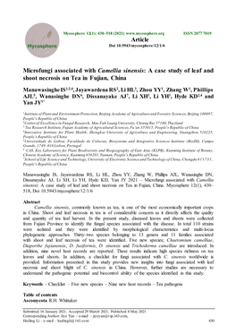 Microfungi Associated with Camellia Sinensis: a Case Study of Leaf and Shoot Necrosis on Tea in Fujian, China