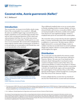 Coconut Mite, Aceria Guerreronis (Keifer)1 W