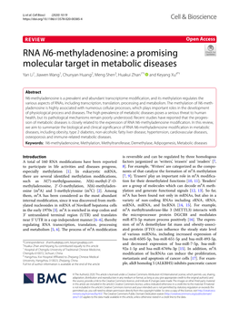 RNA N6-Methyladenosine: a Promising Molecular Target In