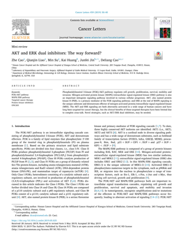 AKT and ERK Dual Inhibitors the Way Forward?