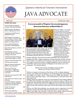 Java Advocate