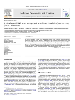 A Mitochondrial DNA Based Phylogeny of Weakfish Species Of