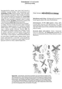 Crassulaceae A. P. De Candolle (Stonecrop Family) Succulent Herbs to Shrubs; Stem Often with Cortical Or Medullary Vascular Bund