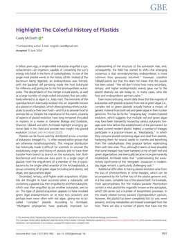 Highlight: the Colorful History of Plastids