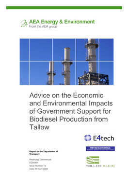 Executive Summary Tallow As a Biofuel Feedstock