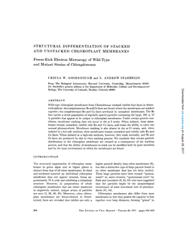 Structural Differentiation of Stacked and Unstacked Chloroplast Membranes