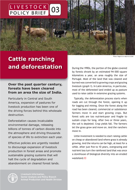 Cattle Ranching and Deforestation