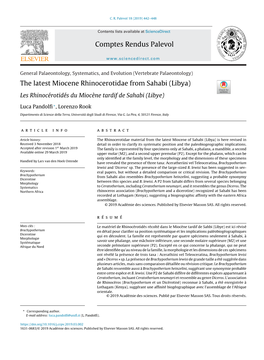 The Latest Miocene Rhinocerotidae from Sahabi (Libya)